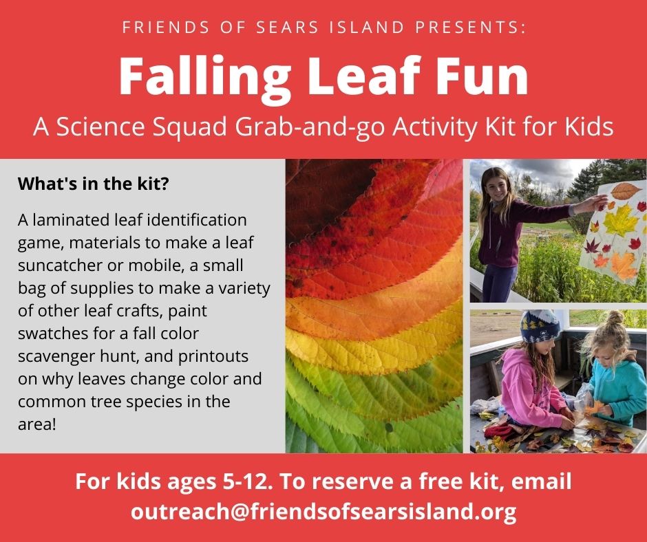 “Falling Leaf Fun” Activity Kits for Kids