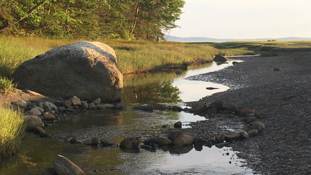 Sears Island Stories