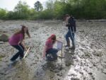 Preparing the site Bucksport students at Sears Island
